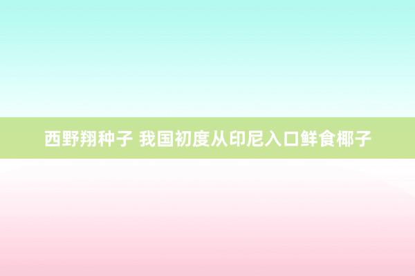 西野翔种子 我国初度从印尼入口鲜食椰子