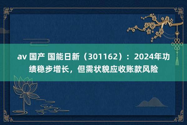 av 国产 国能日新（301162）：2024年功绩稳步增长，但需状貌应收账款风险