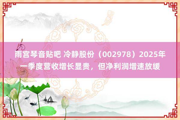 雨宫琴音贴吧 冷静股份（002978）2025年一季度营收增长显贵，但净利润增速放缓