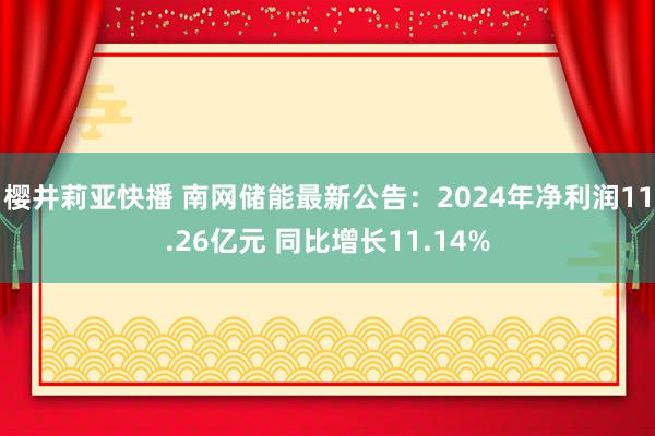 樱井莉亚快播 南网储能最新公告：2024年净利润11.26亿元 同比增长11.14%