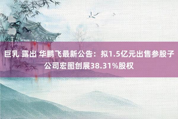 巨乳 露出 华鹏飞最新公告：拟1.5亿元出售参股子公司宏图创展38.31%股权