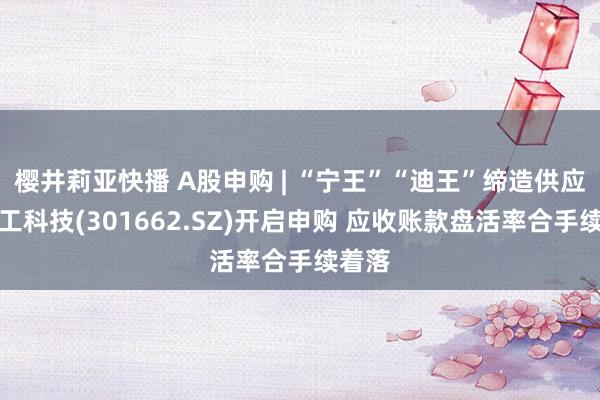樱井莉亚快播 A股申购 | “宁王”“迪王”缔造供应商宏工科技(301662.SZ)开启申购 应收账款盘活率合手续着落