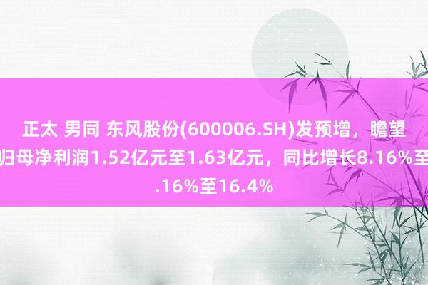 正太 男同 东风股份(600006.SH)发预增，瞻望一季度归母净利润1.52亿元至1.63亿元，同比增长8.16%至16.4%