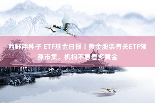 西野翔种子 ETF基金日报丨黄金股票有关ETF领涨市集，机构不息看多黄金