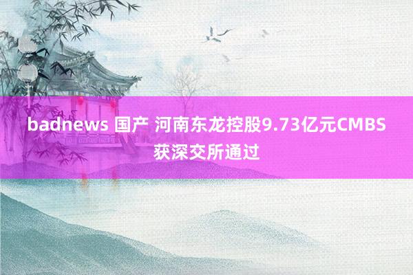 badnews 国产 河南东龙控股9.73亿元CMBS获深交所通过