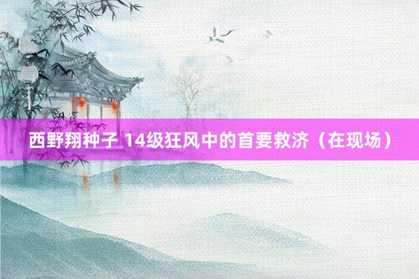 西野翔种子 14级狂风中的首要救济（在现场）
