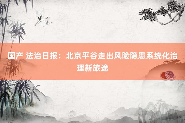 国产 法治日报：北京平谷走出风险隐患系统化治理新旅途