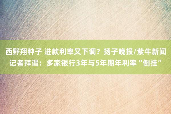 西野翔种子 进款利率又下调？扬子晚报/紫牛新闻记者拜谒：多家银行3年与5年期年利率“倒挂”