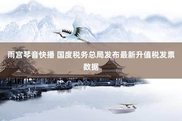 雨宫琴音快播 国度税务总局发布最新升值税发票数据