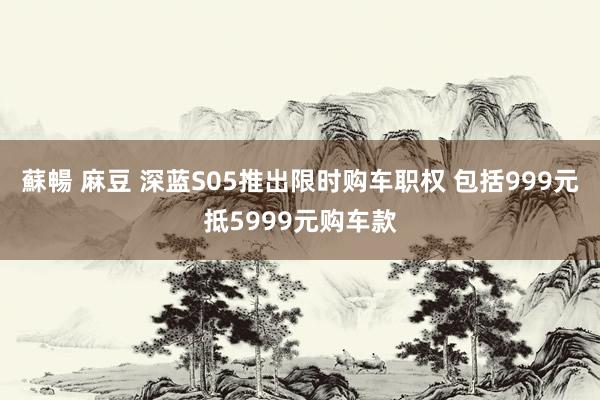 蘇暢 麻豆 深蓝S05推出限时购车职权 包括999元抵5999元购车款