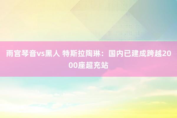雨宫琴音vs黑人 特斯拉陶琳：国内已建成跨越2000座超充站