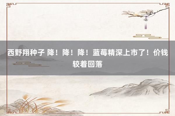 西野翔种子 降！降！降！蓝莓精深上市了！价钱较着回落