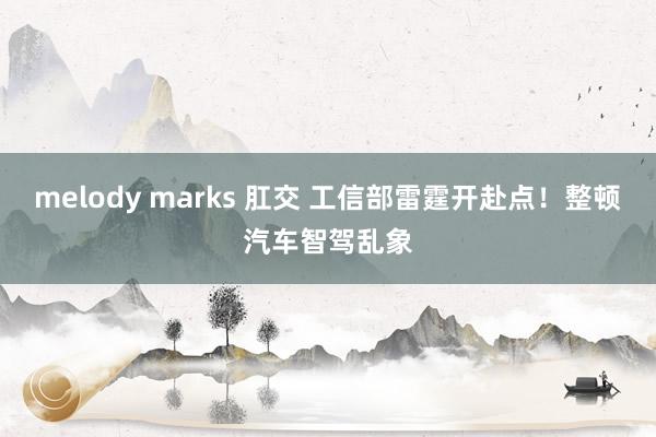 melody marks 肛交 工信部雷霆开赴点！整顿汽车智驾乱象