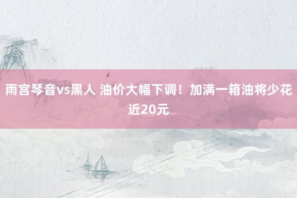 雨宫琴音vs黑人 油价大幅下调!加满一箱油将少花近20元