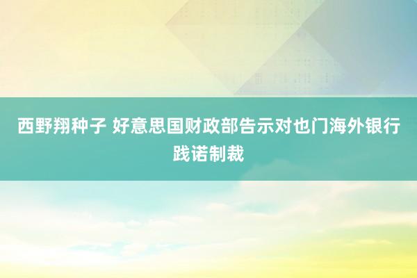西野翔种子 好意思国财政部告示对也门海外银行践诺制裁