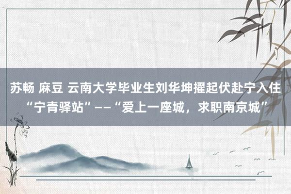 苏畅 麻豆 云南大学毕业生刘华坤擢起伏赴宁入住“宁青驿站”——“爱上一座城，求职南京城”