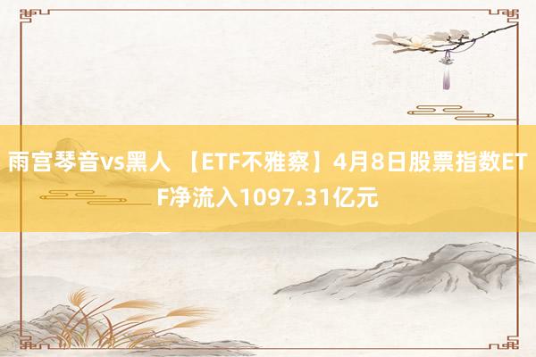 雨宫琴音vs黑人 【ETF不雅察】4月8日股票指数ETF净流入1097.31亿元