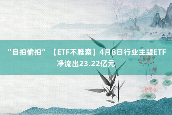 “自拍偷拍” 【ETF不雅察】4月8日行业主题ETF净流出23.22亿元