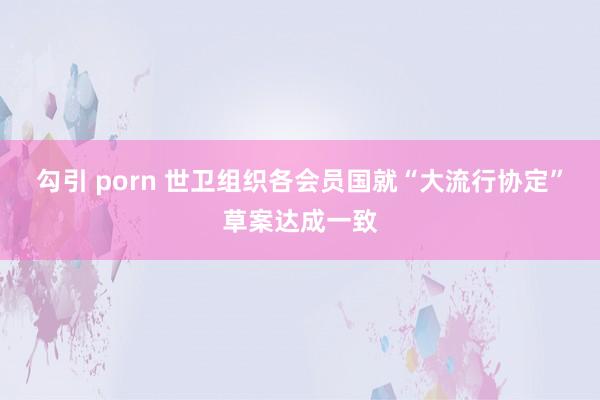 勾引 porn 世卫组织各会员国就“大流行协定”草案达成一致