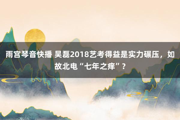 雨宫琴音快播 吴磊2018艺考得益是实力碾压，如故北电“七年之痒”？