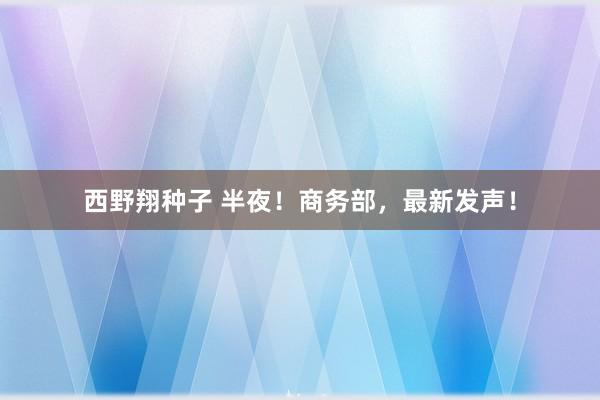 西野翔种子 半夜！商务部，最新发声！