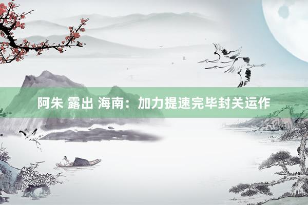 阿朱 露出 海南：加力提速完毕封关运作