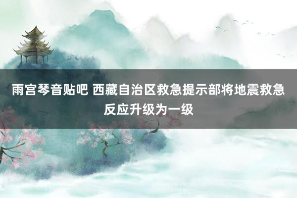 雨宫琴音贴吧 西藏自治区救急提示部将地震救急反应升级为一级
