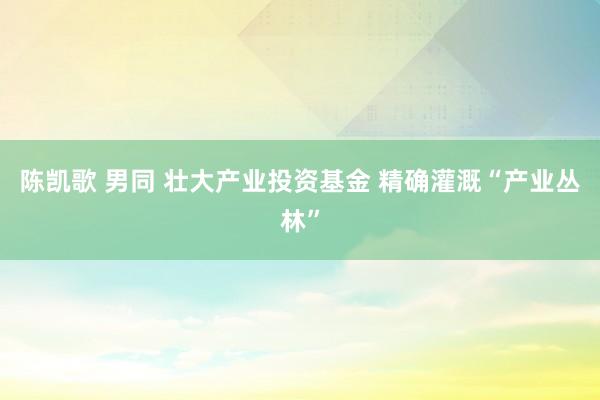 陈凯歌 男同 壮大产业投资基金 精确灌溉“产业丛林”