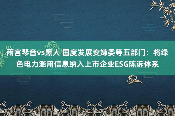 雨宫琴音vs黑人 国度发展变嫌委等五部门：将绿色电力滥用信息纳入上市企业ESG陈诉体系