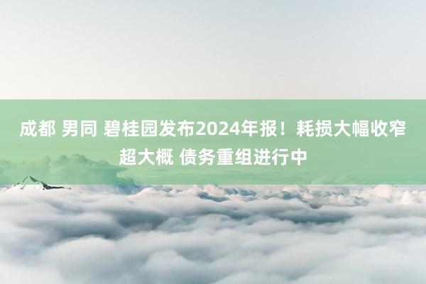 成都 男同 碧桂园发布2024年报！耗损大幅收窄超大概 债务重组进行中