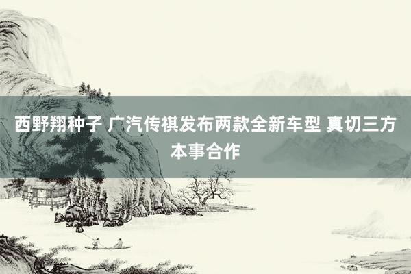西野翔种子 广汽传祺发布两款全新车型 真切三方本事合作