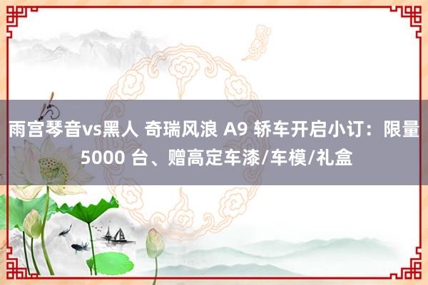 雨宫琴音vs黑人 奇瑞风浪 A9 轿车开启小订：限量 5000 台、赠高定车漆/车模/礼盒