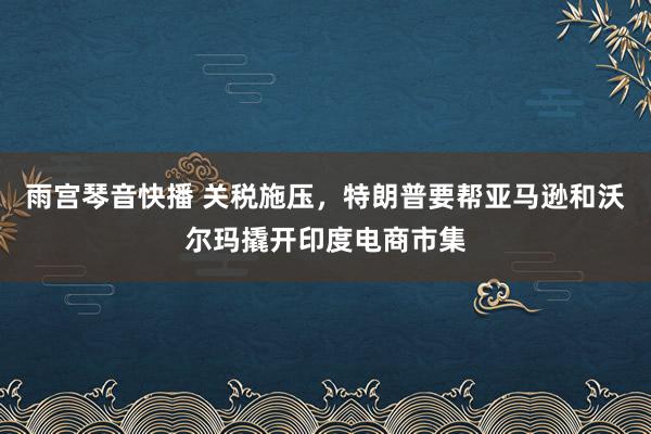 雨宫琴音快播 关税施压，特朗普要帮亚马逊和沃尔玛撬开印度电商市集