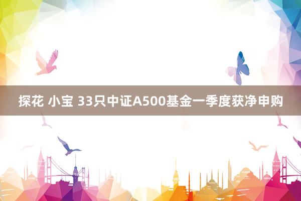 探花 小宝 33只中证A500基金一季度获净申购