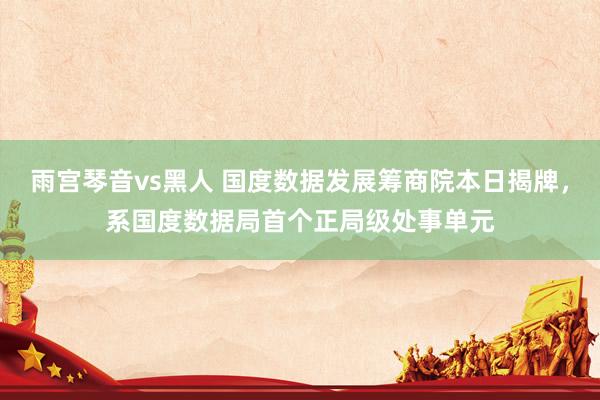 雨宫琴音vs黑人 国度数据发展筹商院本日揭牌，系国度数据局首个正局级处事单元