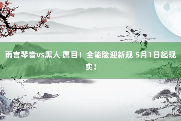 雨宫琴音vs黑人 属目！全能险迎新规 5月1日起现实！
