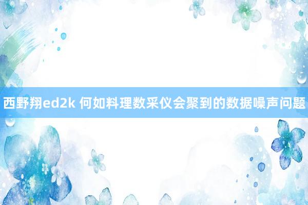 西野翔ed2k 何如料理数采仪会聚到的数据噪声问题